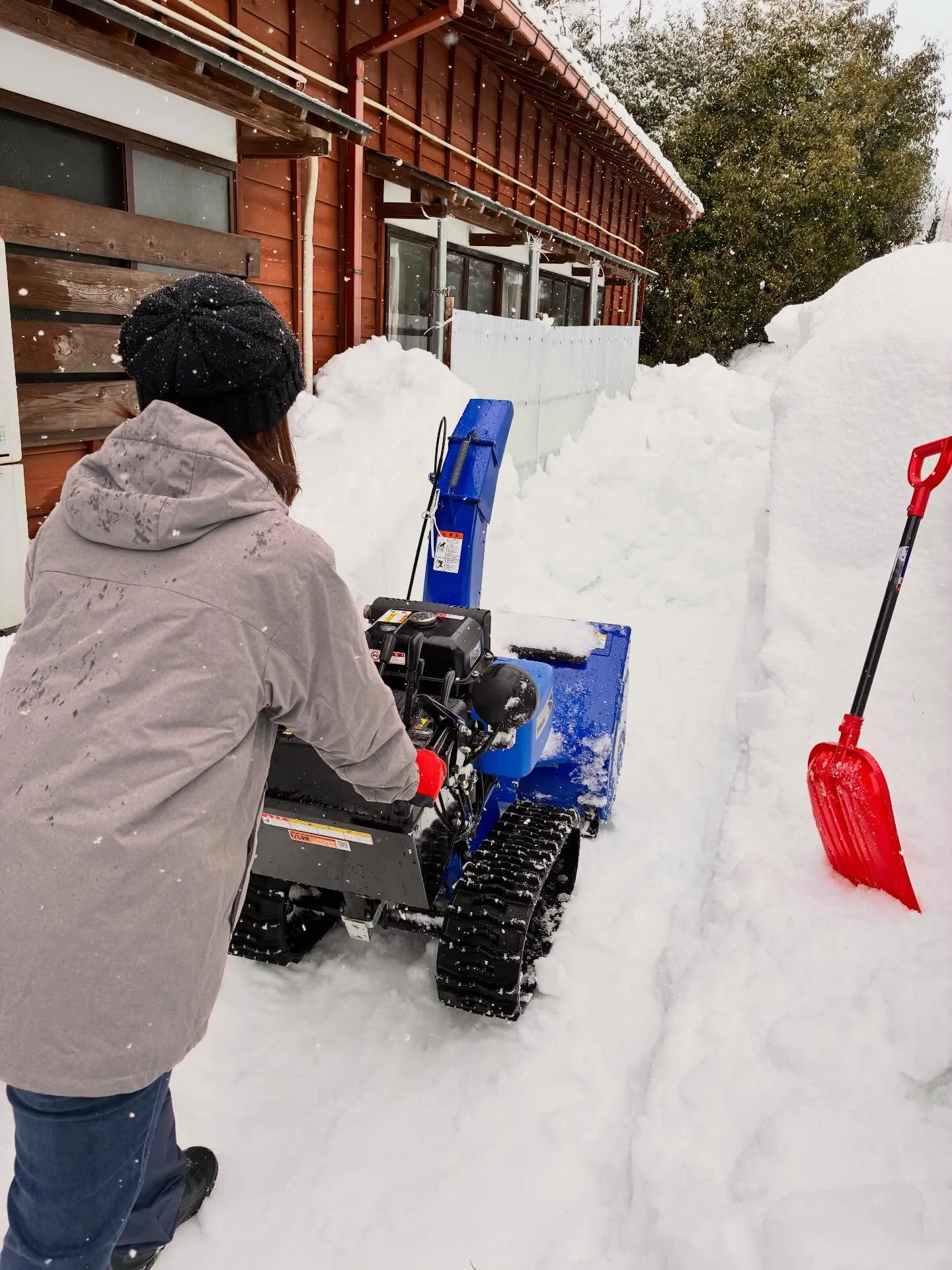 新潟県柏崎市の便利屋猫の手です。