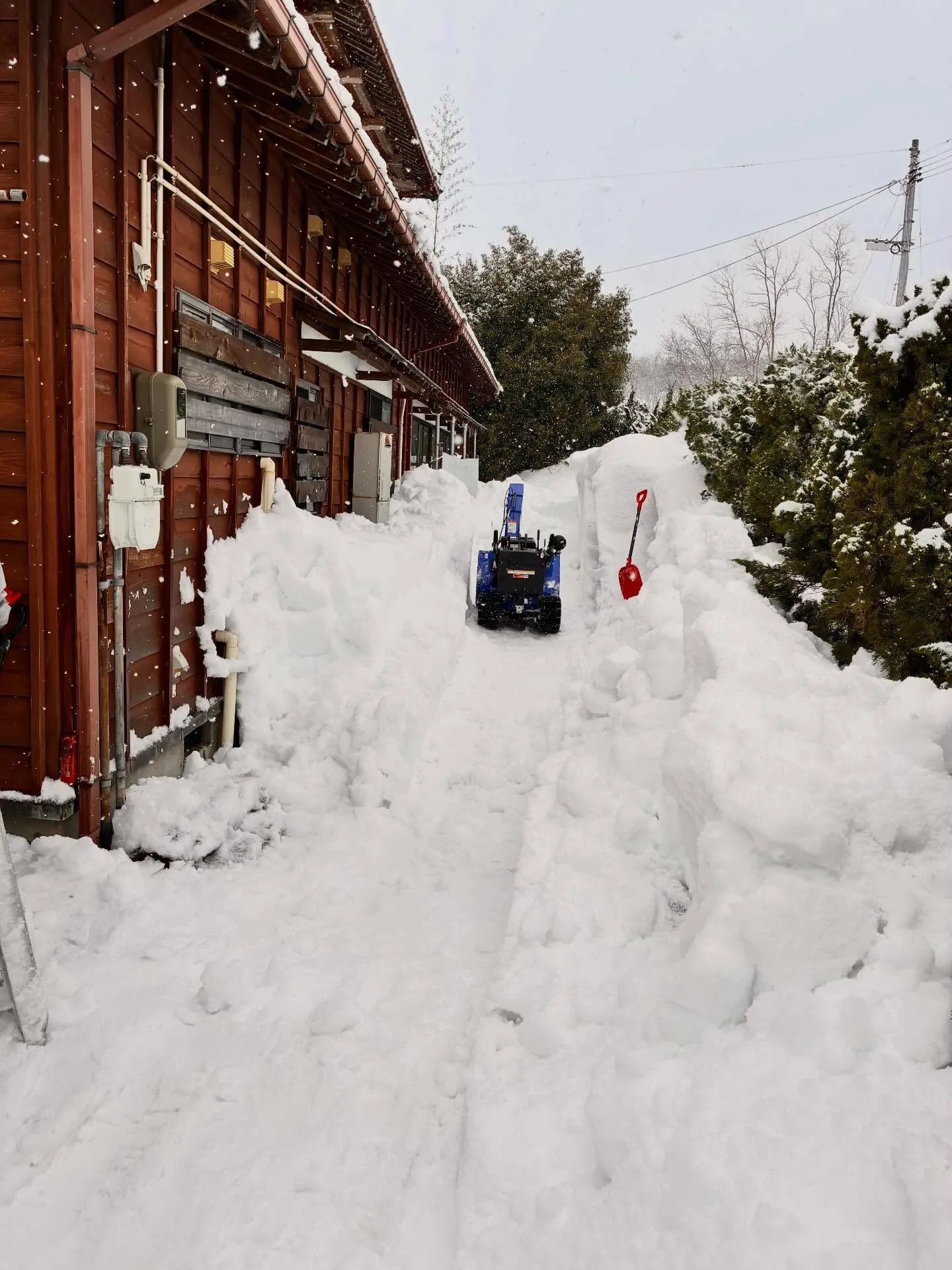 新潟県柏崎市の便利屋猫の手です。
