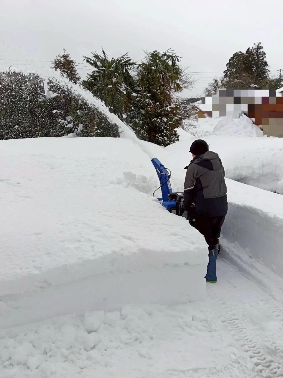 新潟県柏崎市の便利屋猫の手です。