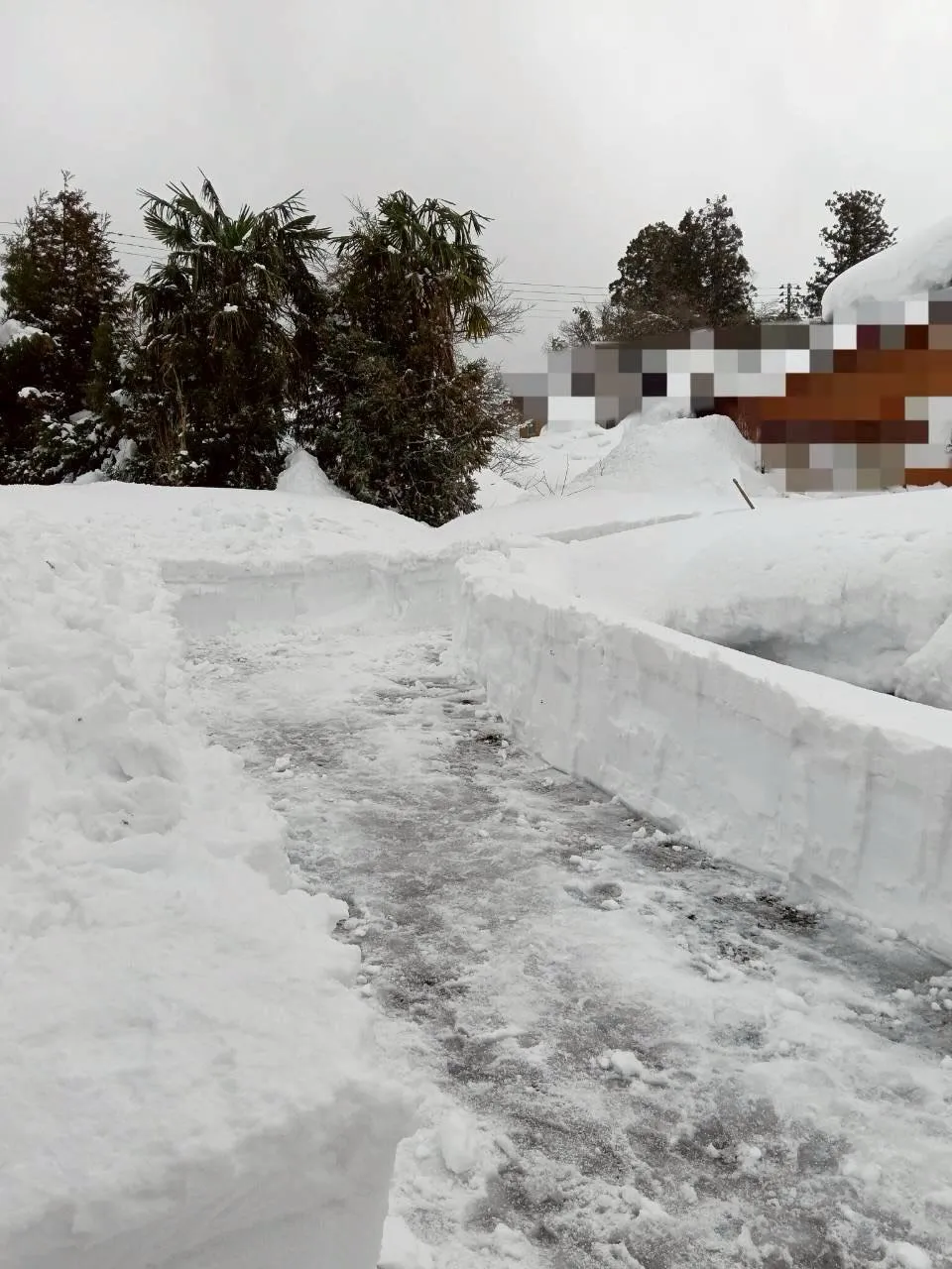 新潟県柏崎市の便利屋猫の手です。