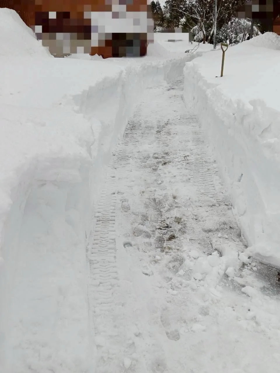 新潟県柏崎市の便利屋猫の手です。