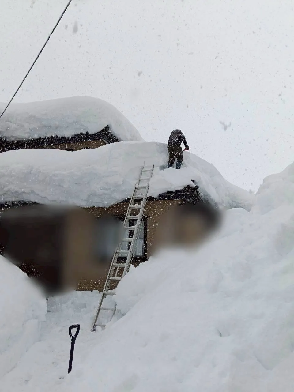 新潟県柏崎市の便利屋猫の手です。