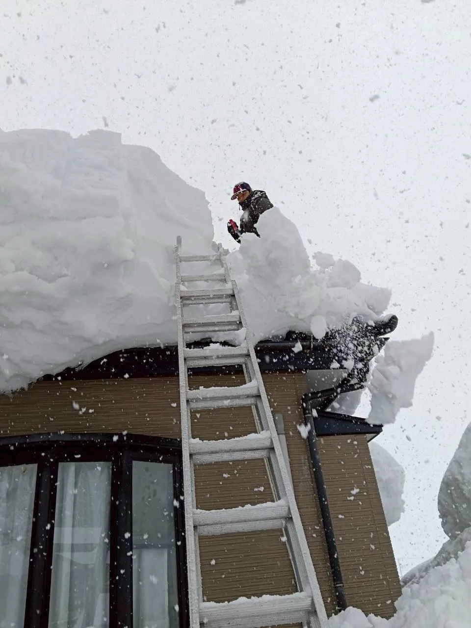 新潟県柏崎市の便利屋猫の手です。