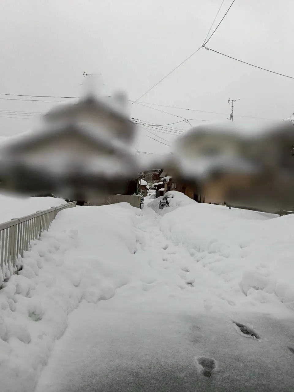 新潟県柏崎市の便利屋猫の手です。