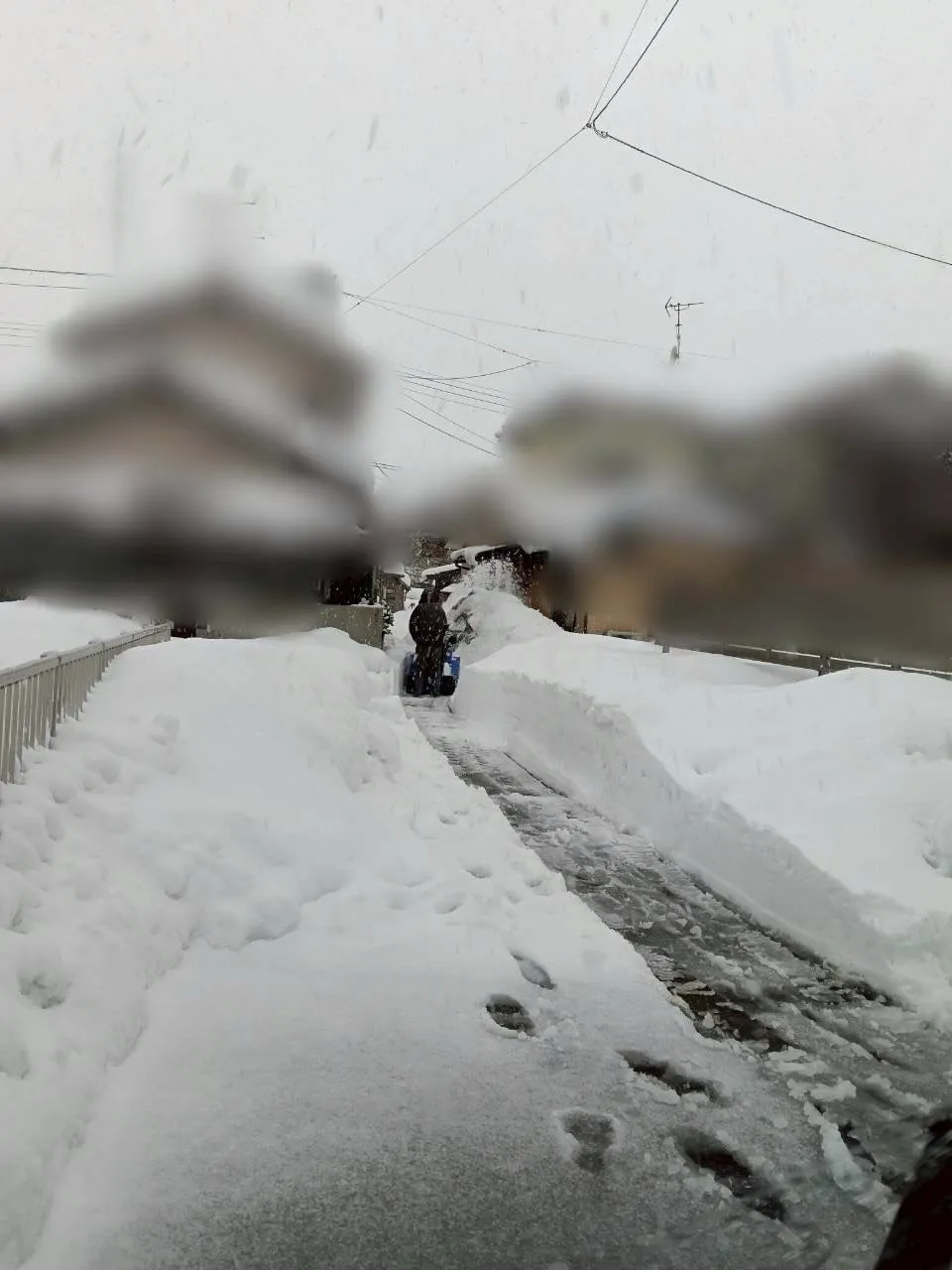 新潟県柏崎市の便利屋猫の手です。